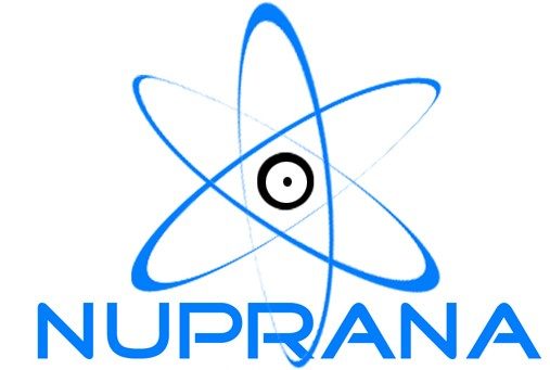 NuPrana Construction